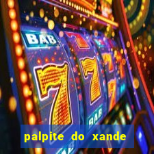 palpite do xande de hoje