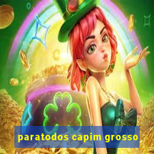 paratodos capim grosso