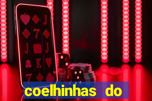 coelhinhas do brasil site