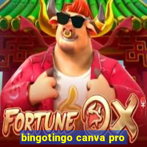 bingotingo canva pro