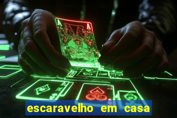 escaravelho em casa significado espiritual