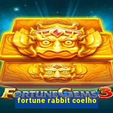 fortune rabbit coelho