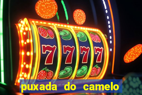 puxada do camelo jogo do bicho