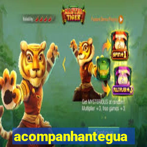 acompanhanteguanambi