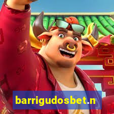 barrigudosbet.net