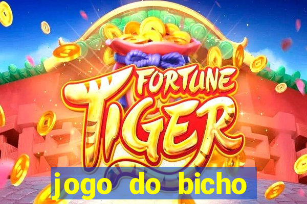 jogo do bicho documentario globoplay