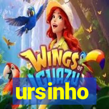 ursinho-pg.com